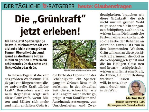 tz Kolumne 05.06.2026
